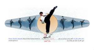 Môn võ từng bị cấm ở Iran: Học hỏi kungfu Trung Quốc, sở hữu 73.000 kỹ thuật