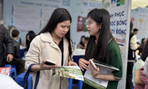 Xét tuyển học bạ bị 'siết', giới hạn chứng chỉ ngoại ngữ: Thí sinh cần lưu ý gì?