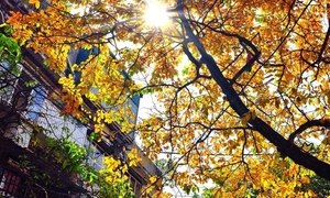 Dự báo thời tiết ngày 17/3: Hà Nội nắng 28°C, TP.HCM đêm mưa cục bộ