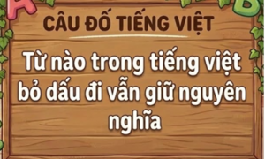 Từ nào trong tiếng Việt bỏ dấu đi vẫn giữ nguyên nghĩa?