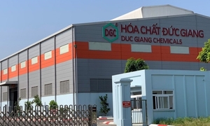 Cổ phiếu Hóa chất Đức Giang bị bán tháo, trắng bên mua sau tin Chủ tịch bị bắt