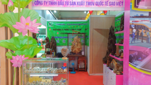 Trầm Hương Sao Việt: Lan tỏa giá trị trầm hương Việt trong đời sống hiện đại