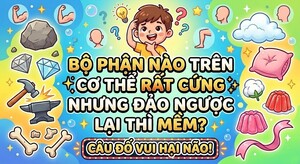 Bộ phận nào trên cơ thể rất cứng nhưng đảo ngược lại thì mềm?
