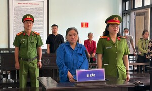 'Nữ quái' thất nghiệp dựng chuyện làm ăn, chiếm đoạt gần 2 tỷ đồng