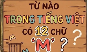 Khó tin: Từ tiếng Việt gồm 12 chữ M, bạn đoán được không?