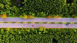 Sống như nghỉ dưỡng với 'view rừng, hướng biển' - giấc mơ của các runner