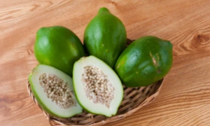 5 lợi ích bất ngờ của đu đủ xanh với sức khỏe