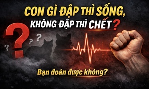 Giải mã câu đố: Con gì đập thì sống, không đập thì chết?
