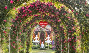 Du lịch Sa Pa dịp Giỗ Tổ, 30/4-/15: Gợi ý những trải nghiệm hấp dẫn bậc nhất