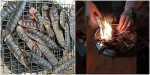 Việc đốt bồ kết có những lợi ích gì?