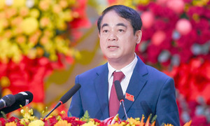 Ông Nghiêm Xuân Thành làm Phó Chủ nhiệm Ủy ban Kiểm tra Trung ương