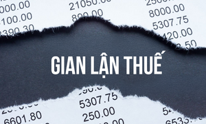 Chiêu trò gian lận thuế của chủ sở hữu Tập đoàn Khoáng sản Đầu tư Hưng Thịnh