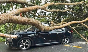 Hơn 4.000 nhà ở Lào Cai bị tốc mái sau dông lốc, 3 người bị thương