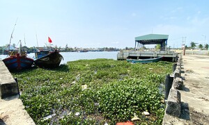 Cảng cá 120 tỷ xây xong 'chỉ để ngắm', ngư dân chờ hoài chẳng thấy cảnh bán buôn