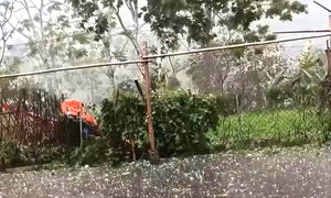 Mưa đá trút xuống xã miền núi Lạng Sơn, người dân vội vàng tìm nơi trú ẩn