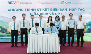 BIDV và QPT hợp tác trồng 240.000 cây xanh tại Đồng bằng sông Cửu Long