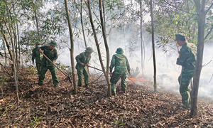 Cháy rừng giữa nắng nóng, hơn 1,5 ha tràm ở Quảng Trị bị thiêu rụi
