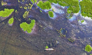 Cận cảnh vẻ ‘sơn thuỷ hữu tình’ Đầm Trà Ổ gần 5.700 ha ở Gia Lai