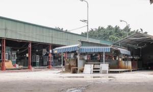 Hà Nội: Bao nhiêu trường ở phường Thanh Liệt dùng thịt lợn của Cường Phát?