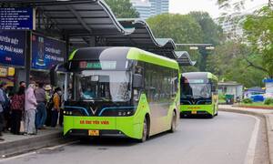 Hà Nội chưa có chủ trương miễn phí xe buýt cho tất cả người dân
