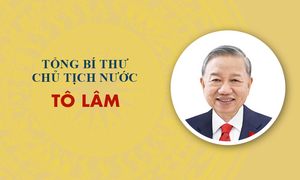 Infographic: Sự nghiệp Tổng Bí thư, Chủ tịch nước Tô Lâm