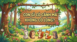 Con gì có cánh mà không có lông?