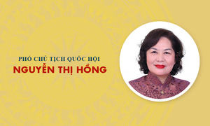 Infographic: Sự nghiệp Phó Chủ tịch Quốc hội khóa XVI Nguyễn Thị Hồng