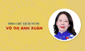 Infographic: Sự nghiệp Phó Chủ tịch nước Võ Thị Ánh Xuân
