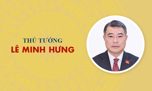Infographic: Sự nghiệp tân Thủ tướng Lê Minh Hưng