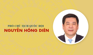 Infographic: Sự nghiệp Phó Chủ tịch Quốc hội khóa XVI Nguyễn Hồng Diên