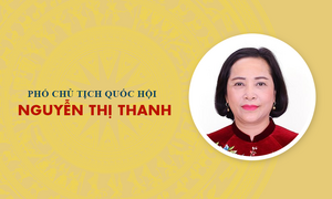 Infographic: Sự nghiệp Phó Chủ tịch Quốc hội khóa XVI Nguyễn Thị Thanh