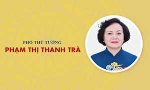 Infographic: Sự nghiệp Phó Thủ tướng Phạm Thị Thanh Trà