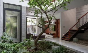 Những ý tưởng đơn giản tạo không gian xanh cho nhà phố 