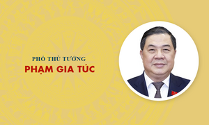 Infographic: Sự nghiệp Phó Thủ tướng Phạm Gia Túc