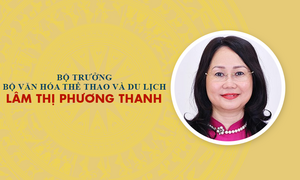 Infographic: Sự nghiệp Bộ trưởng Bộ VH-TT&DL Lâm Thị Phương Thanh