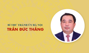 Infographic: Sự nghiệp tân Bí thư Thành ủy Hà Nội Trần Đức Thắng