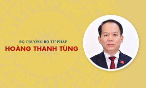 Infographic: Sự nghiệp Bộ trưởng Bộ Tư pháp Hoàng Thanh Tùng