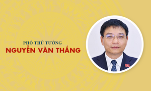 Infographic: Sự nghiệp Phó Thủ tướng Nguyễn Văn Thắng 