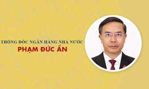 Infographic: Sự nghiệp Thống đốc Ngân hàng Phạm Đức Ấn