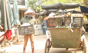 Nắng như ‘chảo lửa’, người lao động miền Trung vật lộn mưu sinh