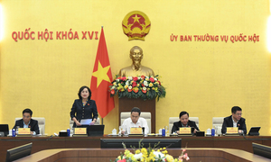 Thống nhất trình Quốc hội xem xét, quyết định giảm thuế với xăng dầu