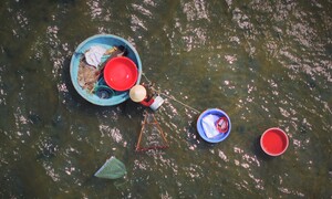 Người dân Gia Lai phơi nắng, ngâm mình 10 tiếng giữa cửa biển cào ốc ngọc trai