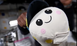 Cậu bé 8 tuổi tạo gấu bông chỉ báo không trọng lực trên tàu Orion Artemis II