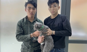 Công an TP.HCM bắt 31 kẻ trộm cắp chó, mèo trong 3 tháng đầu năm