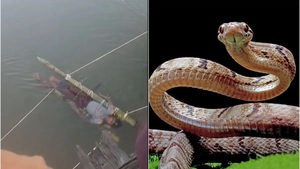 Cậu bé bị gia đình dìm nước sông 12 tiếng để chữa rắn cắn, chết thương tâm