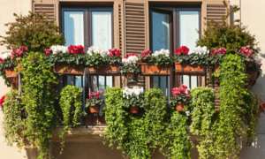 7 cách làm mát nhà mà không cần bật điều hòa giúp tiết kiệm điện