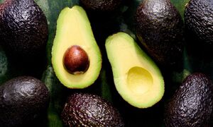 Ai không nên ăn quả bơ?