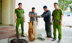 Bắt 2 thanh niên mang bình xịt hơi cay, ớt bột đi trộm chó