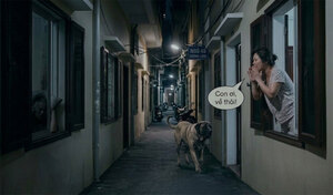 Thường xuyên tỉnh giấc giữa đêm vì hàng xóm gọi chó 'con ơi về đi' ầm cả ngõ