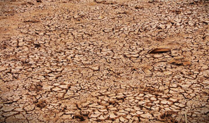 Khả năng xuất hiện El Nino rất mạnh, kéo sang 2027, nguy cơ thiếu hụt nguồn nước từ đầu mùa